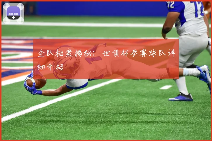 全队档案揭秘：世俱杯参赛球队详细介绍