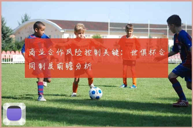 商业合作风险控制关键：世俱杯合同制度前瞻分析